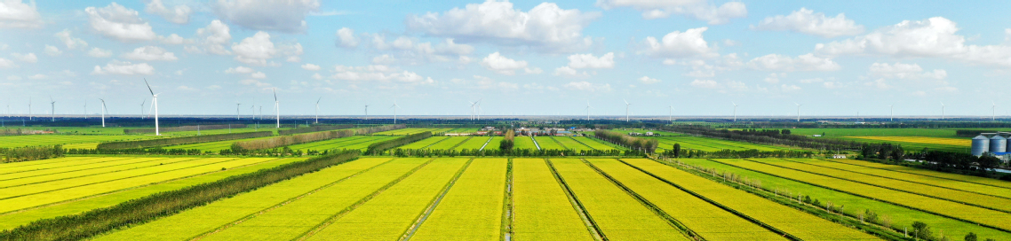 3a81ea21-0efa-4033-bea0-798641f5ade1